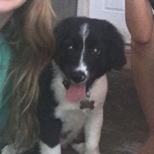 Meet your Posher, Maya